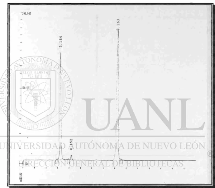 Figura 5. Cromatograma del Linoleato de Metilo. 