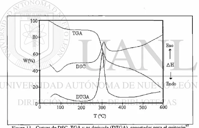 Figura 11.- Curvas de DSC, TGA y su derivada (DTGA), reportadas para el quitosán 57 