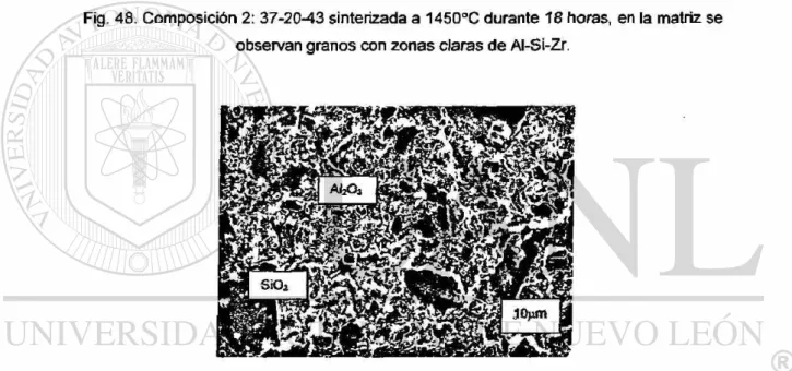 Fig. 49. Composición 2: 37-20-43 sinterizada a  1 4 5 0 * 0 durante  4 8 horas, se presenta la  m¡croestructura general