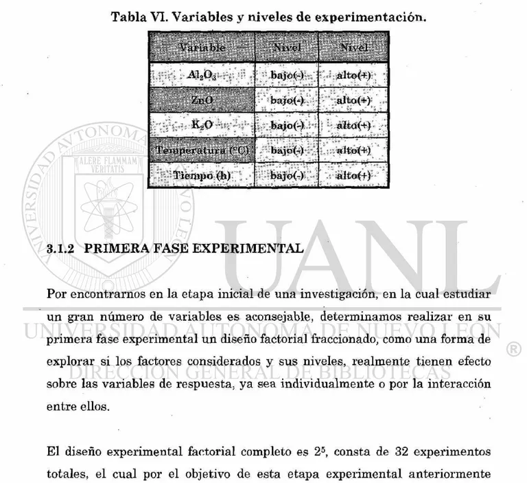 Tabla VI. Variables y niveles de experimentación. 
