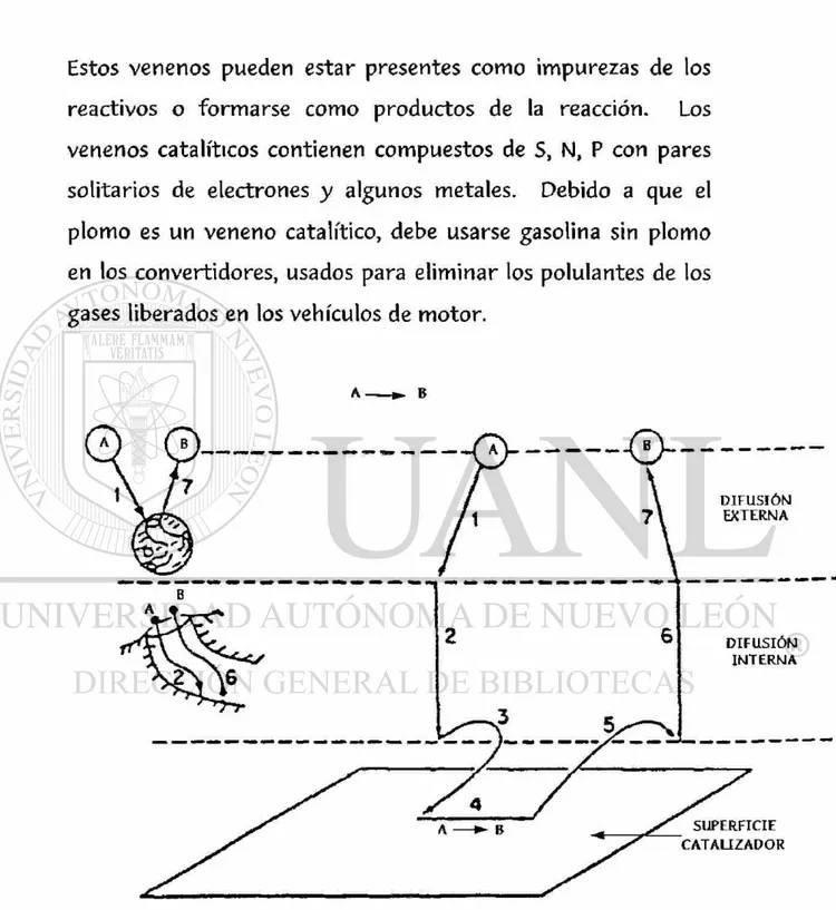 Figura 1.1 Reacciones catalíticas en la superficie del catalizador 