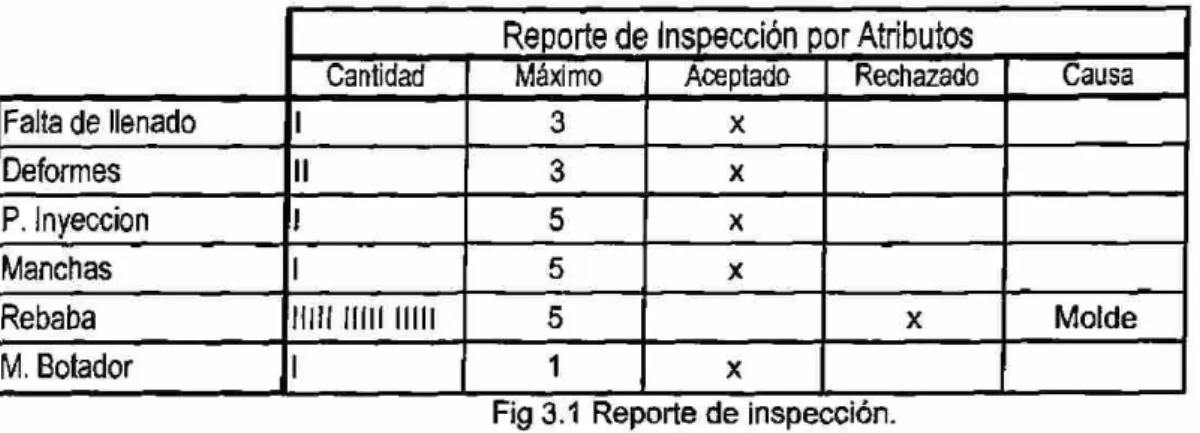 Fig 3.1 Reporte de inspección. 