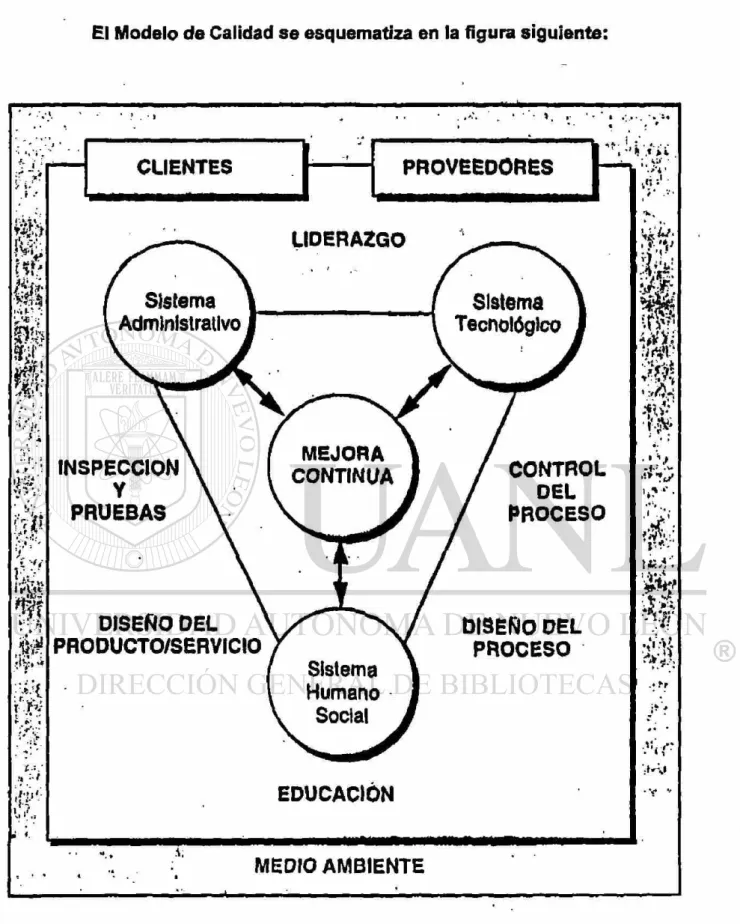 FIGURA 2: INTERRELACION DE LOS ELEMENTOS DE UN MODELO DE  CALIDAD 