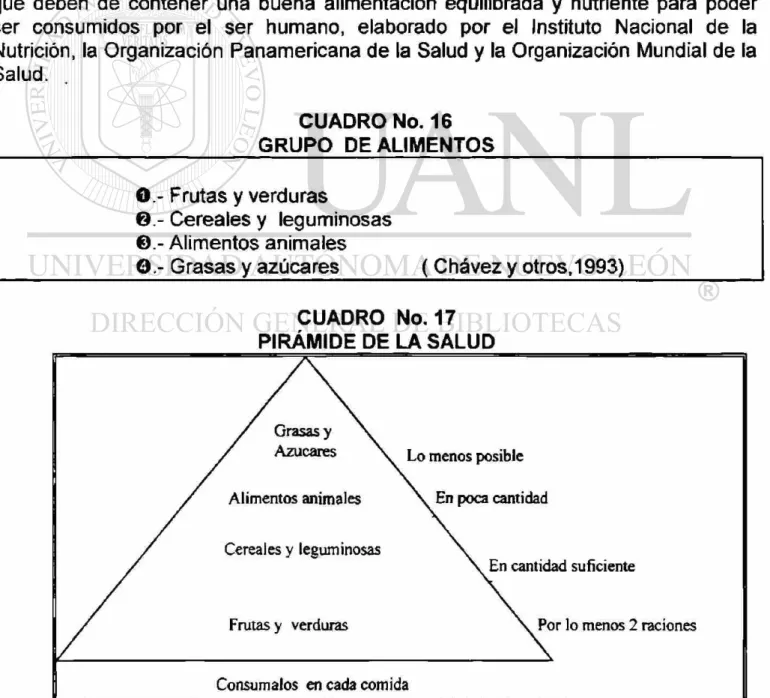 CUADRO No. 16  GRUPO DE ALIMENTOS 