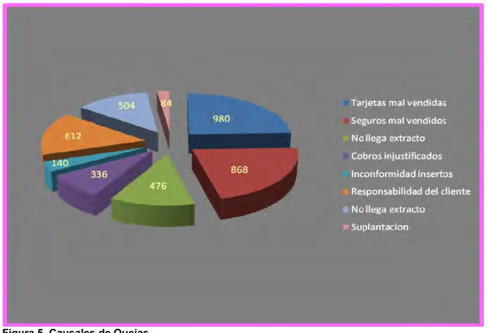 Figura 5. Causales de Quejas