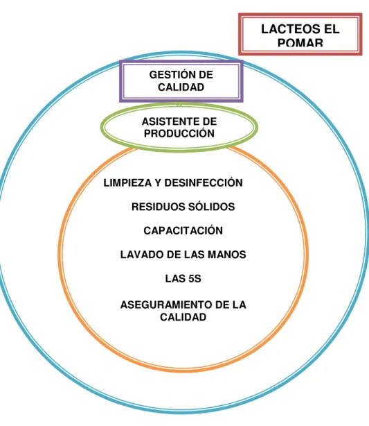 Figura 1. Diagrama de delimitación de la práctica empresarial  