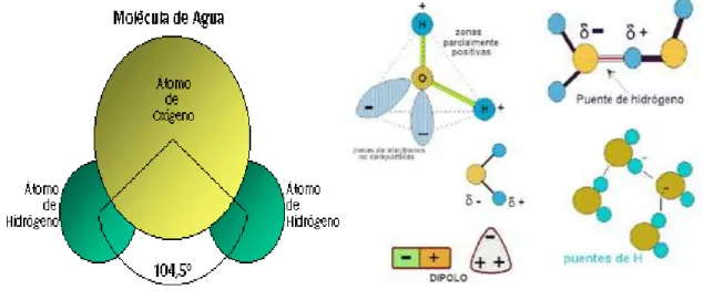 Fig. 3 Estructura de la molécula de agua 