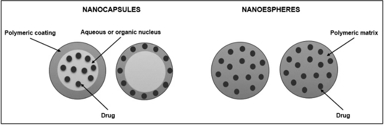 Figure 1. Structure of polymeric nanoparticles. 