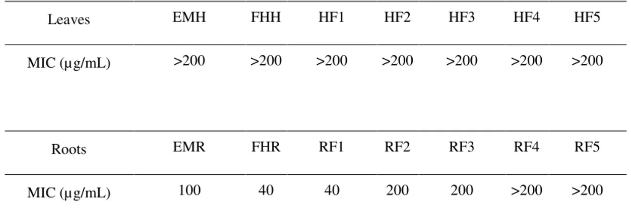 Table II. Anti-M. tuberculosis activity H37Rv of the methanol extracts from leaves and roots of  Leucophyllum frutescens  and their fractions 
