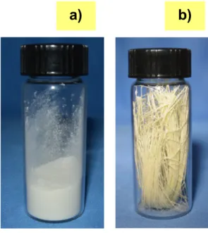 Figura 3.1 Matriz (a) y fibra (b) de Agave Salmiana. 