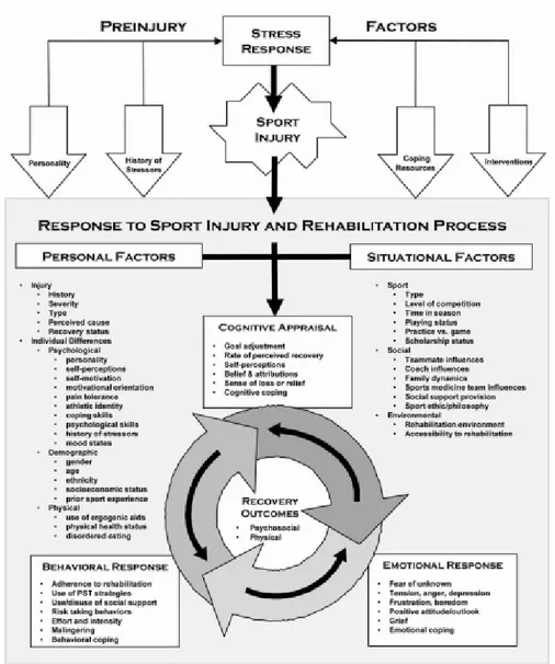 Figura 3 . Modelo integrado de la respuesta a la lesión deportiva y el proceso de  rehabilitación 