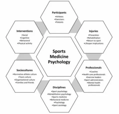 Figura 4 . Modelo integrado de la respuesta a la lesión deportiva y el proceso de  rehabilitación.