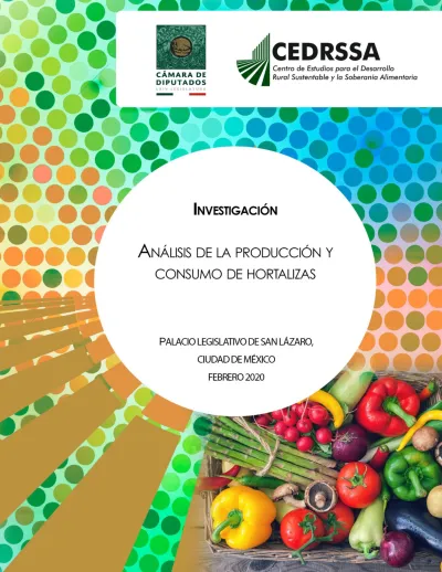 Consumo De Hortalizas En México - Contenido. Introducción Clasificación ...