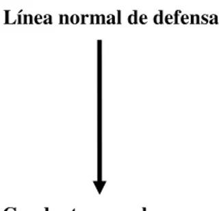 Figura 5.  Estructura conceptual teórico empírica de la línea normal de defensa: conducta  sexual segura de los HSH 
