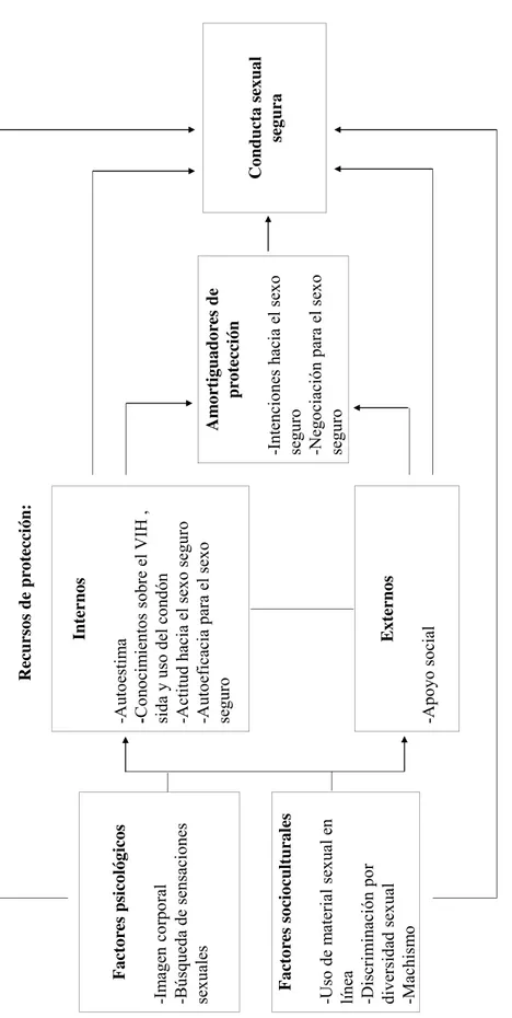 Figura 6. Esquema de relación de conceptos del modelo de sexo seguro para HSHConducta sexual seguraAmortiguadores de protección-Intenciones hacia el sexoseguro-Negociación para el sexoseguroFactores psicológicos-Imagen corporal-Búsqueda de sensaciones sexu