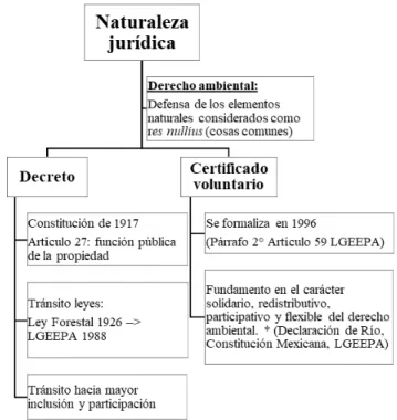 Figura 6. Características de la naturaleza jurídica de ambas modalidades de ANP. 
