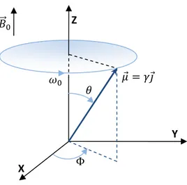 Figura 2.1. Movimiento del momento magnético del spin en tono a 