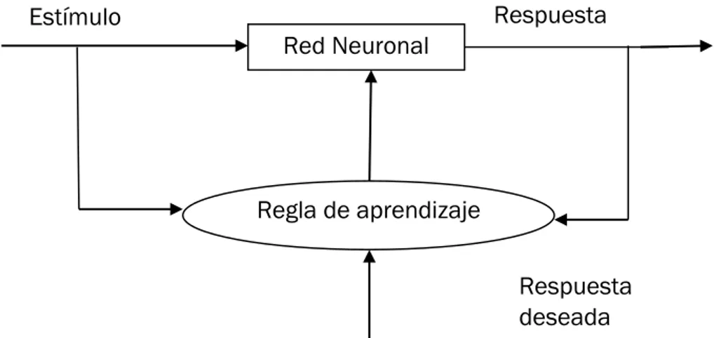 Fig. 2.9. Red Neuronal supervisada. 