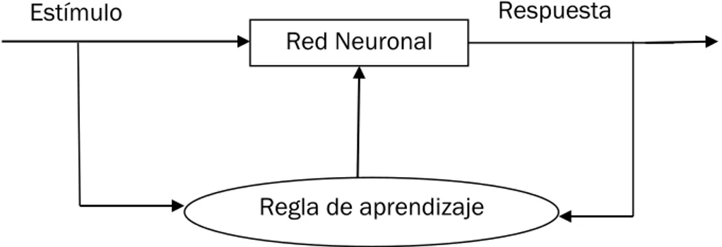 Fig. 2.10. Red No supervisada. 