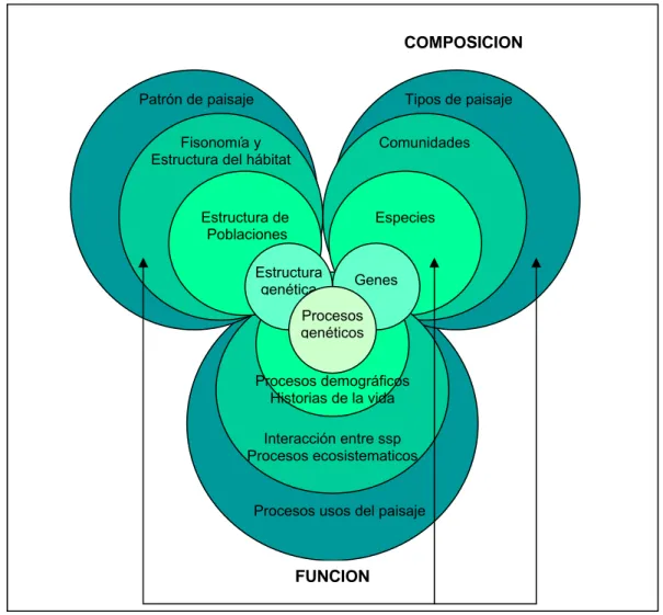 Figura 2. Niveles de organización jerárquica de la biodiversidad y atributos de composición,  estructura y función