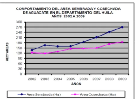 Tabla 1.Estadística del área sembrada en Aguacate en el Huila 