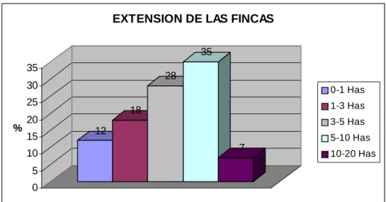 Gráfico 1  Extensión de las fincas con influencia en la zona de páramo. 