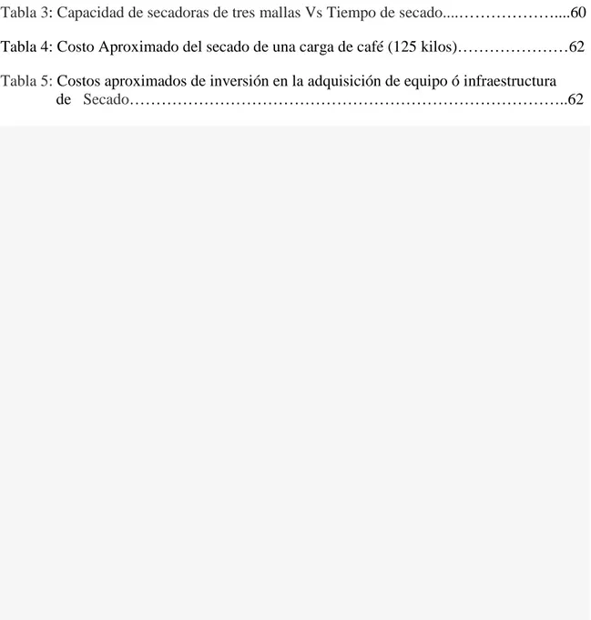 Tabla 1: Norma técnica NTC 2090 (Cenicafé-ICONTEC)…………….…………………..38 