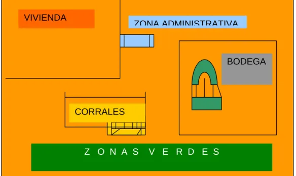 FIGURA 17 .  Distribución de planta 