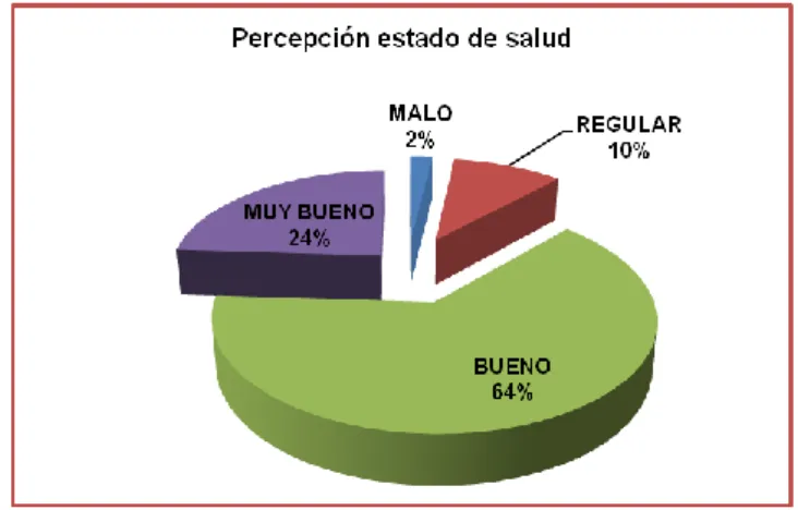 Figura 7: Percepción subjetiva sobre el estado de salud 