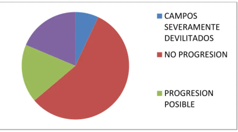 Fig. n° 6 Representación gráfica de la VFI Inicial y final 