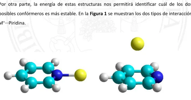 Figura  1.  Interacción  entre  M +  y  el  par  de  electrones  libres  del  nitrógeno  de  la 