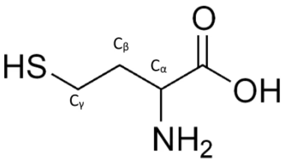 Figura 9: Estructura de la homocisteína con los carbonos α, β, γ señalados. 