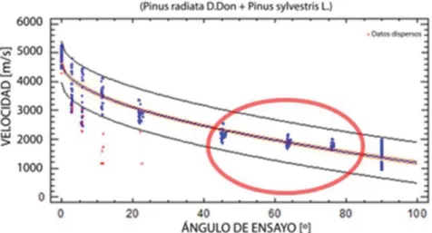 Figura 9. Gráfico velocidad-ángulo de Pinus sylvestris L. y Pinus radiata D. Don. 3.3