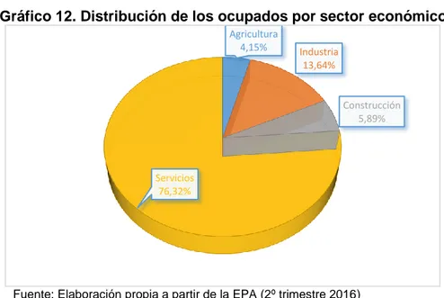 Gráfico 12. Distribución de los ocupados por sector económico 