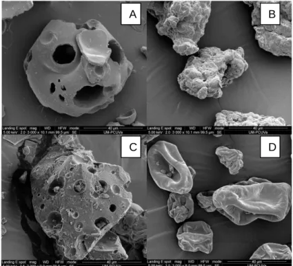Figura  1.  Microfotografías  tomadas  por  el  microscopio  electrónico  de  barrido  (x3000  aumentos)  sobre  los 