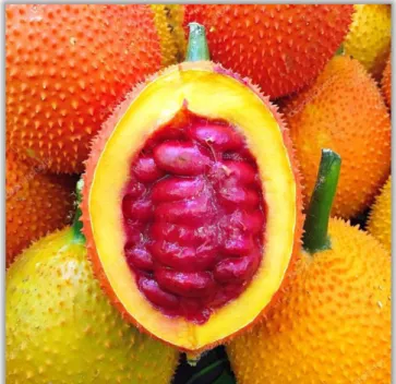 Tabla 4: Composición nutricional pulpa gac 