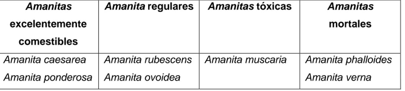TABLA 2: Clasificación de las Amanitas en función de su aceptación gastronómica.  
