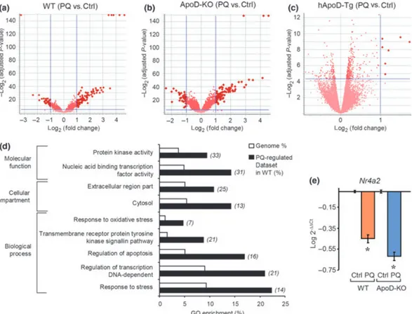 Fig. 3 Transcriptome profile of oxidative stress-challenged cerebel- cerebel-lum. (a–c) Volcano plots for the genes constituting the early response to a single dose of PQ in WT (a), ApoD-KO (b) and hApoD-Tg (c) cerebellum