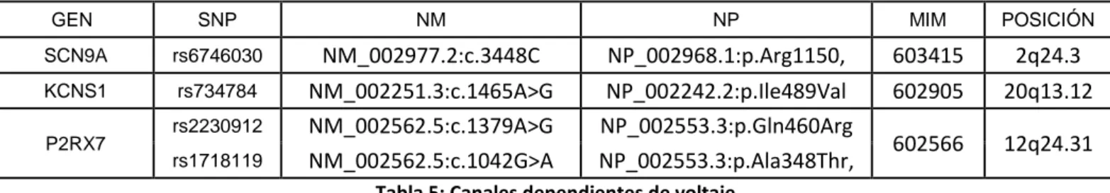 Tabla 5: Canales dependientes de voltaje 