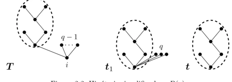 Figura 2.2: Hip´ otesis simplificadora D(q)