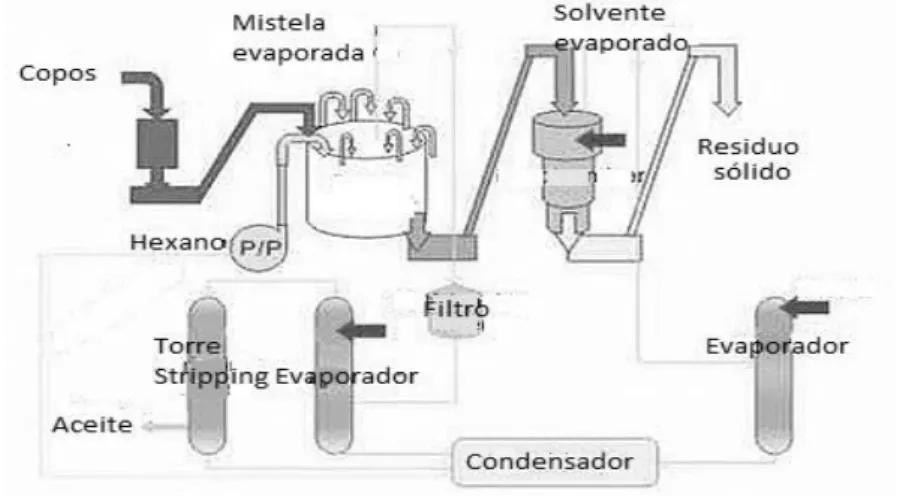 FIGURA 25. ESQUEMA PROCESO EXTRACCIÓN DE ACEITE DIRECTA CON SOLVENTE.