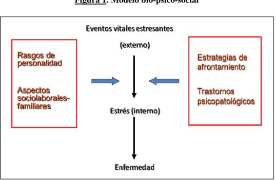 Figura 1. Modelo bio-psico-social 