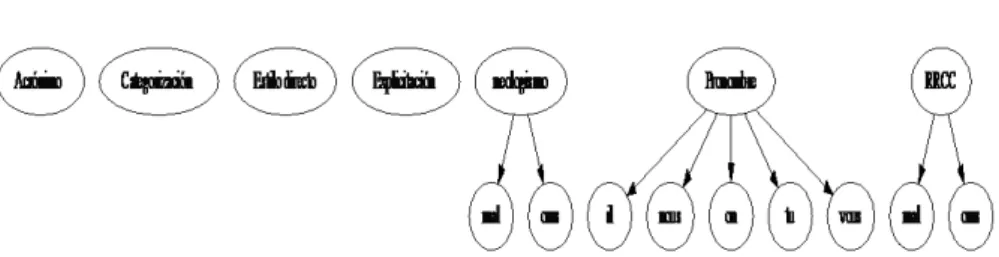 Figura 1. Códigos y subcódigos 