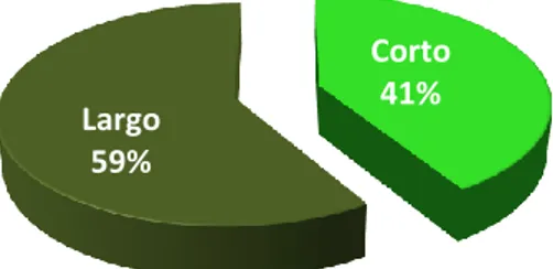 Figura 2: Periodo de latencia