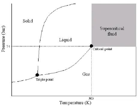 Figure 2.4  Pressure-Temperature phase diagram for carbon dioxide. Extracted from  (Mendes, Nobre, Cardoso, Pereira, &amp; Palavra, 2003) 