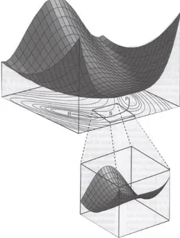 Figura 4 Generación de una proyección bidimensional a partir de una superficie tridimensional