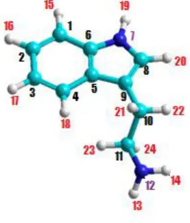 Figura 6 Molécula de triptamina etiquetada. 