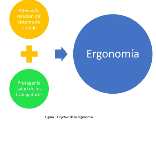 Figura 3 Objetivo de la ergonomía 