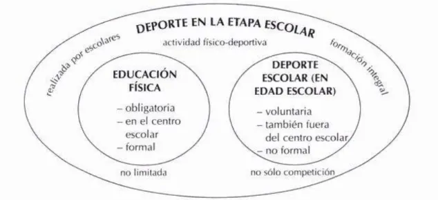 Figura 4.1: El deporte en edad escolar (Orts, 2005: 22) 