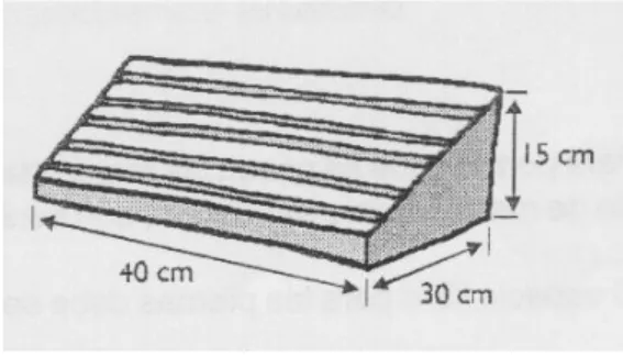 Fig. 4: Apoyapié. Manual Ibermutuamur 